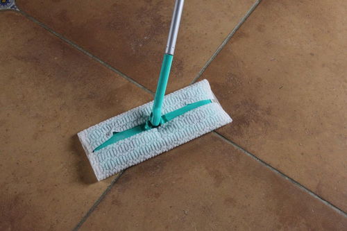 地磚客廳拖把選購指南 高效清潔與養(yǎng)護兼?zhèn)? />
<div   id=